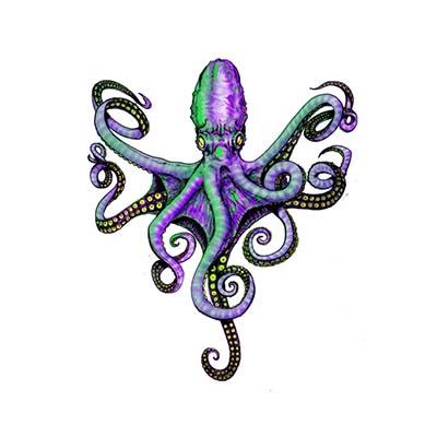 Purple octopus Design Water Transfer Temporary Tattoo(fake Tattoo) Stickers NO.11393